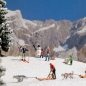 Preview: Busch 7769 M-Set:Schlitten/Ski H0 - Bild 1