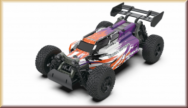 Amewi 22575 CoolRC DIY Race Buggy 2WD 1:18 Bausatz - Bild