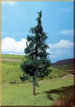 1 Tanne zum Stecken, ca. 210 (Faller 181303)