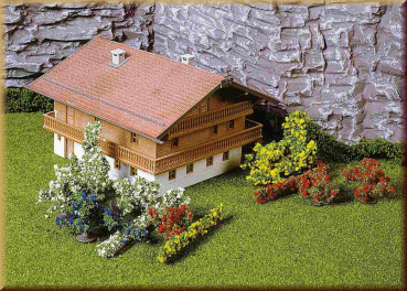 28 Büsche 1-6 cm (Heki 1705)
