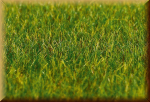 Faller 180485 PREMIUM Streufasern, Gras, du - Bild