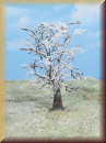 Heki 2107 1 Winterbaum 17 cm - Bild