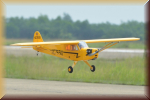 Minicars BH04A Piper Cub 1950mm GP/EP ARTF (Updated) - Bild