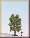 Noch 28101 Pflaumenbaum, blühend 8 cm - Bild