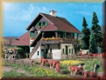 VOLLMER 7521 N -BAHNHOF REITH - Bild